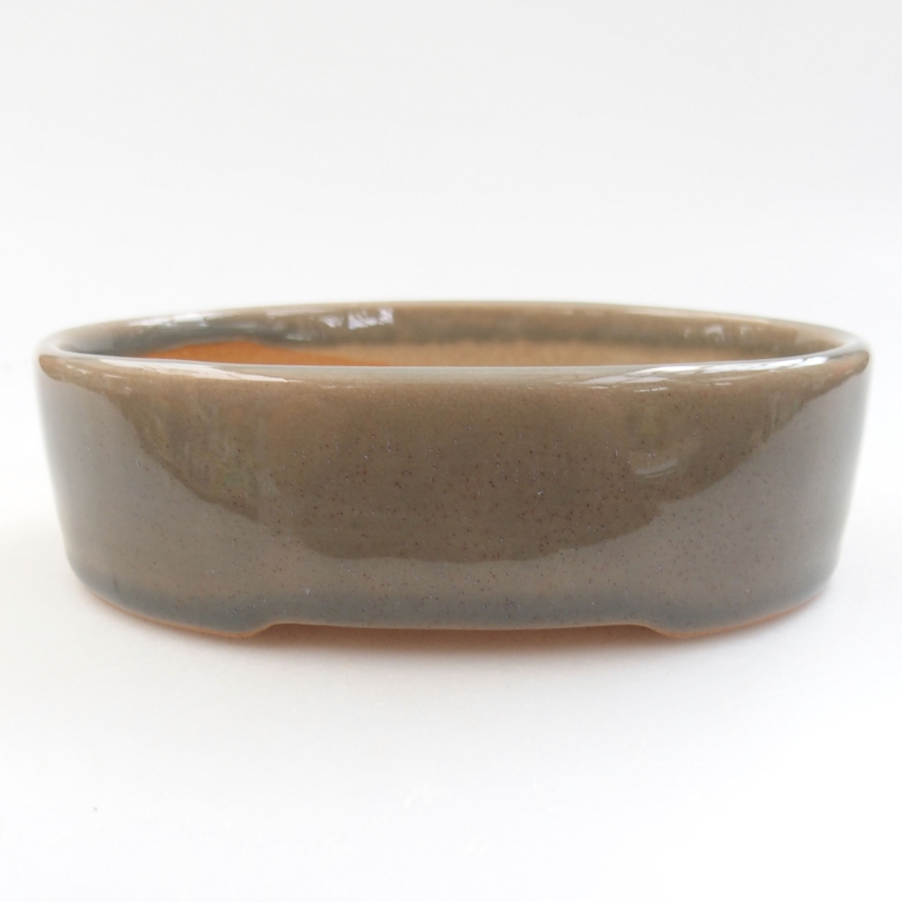 Ciotola bonsai in ceramica 22 x 17 x 5 cm, verde