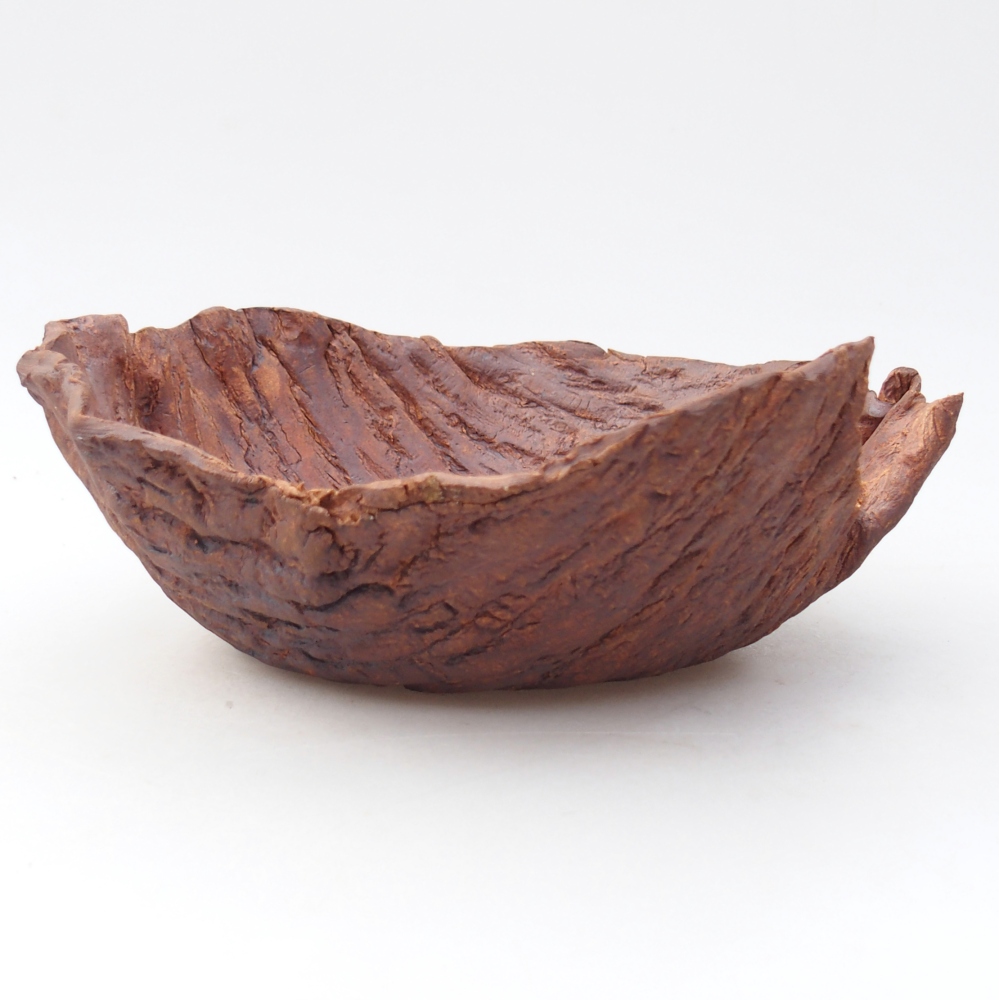 Conchiglia in ceramica 20 x 20 x 8 cm , colore marrone