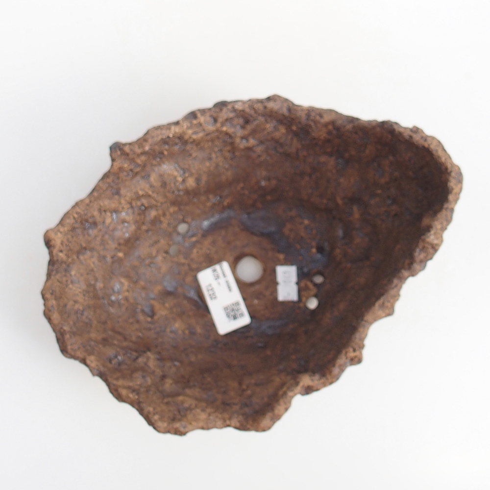 Conchiglia in ceramica 19 x 15 x 14 cm , colore marrone