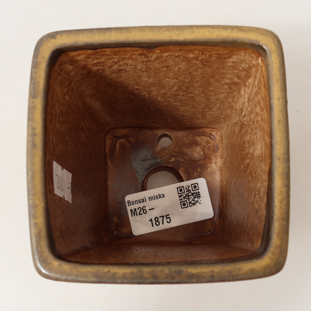 Vaso da bonsai in ceramica 8,5 x 8,5 x 10,5 cm, colore marrone