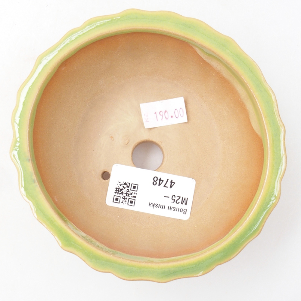 Ciotola bonsai in ceramica 11 x 11 x 5 cm, verde