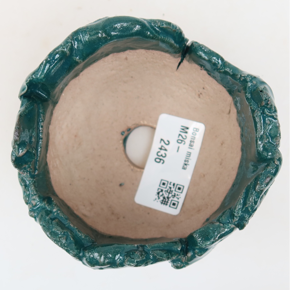 Conchiglia in ceramica 9 x 8,5 x 6 cm , colore verde