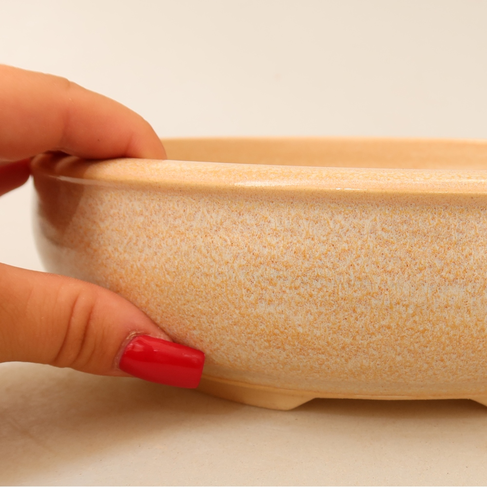 Vaso da bonsai in ceramica 22,5 x 22,5 x 6,5 cm, colore beige