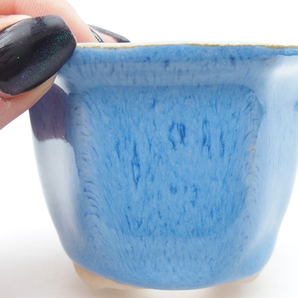 Mini bonsai 4 x 6,5 x 5 cm, colore blu