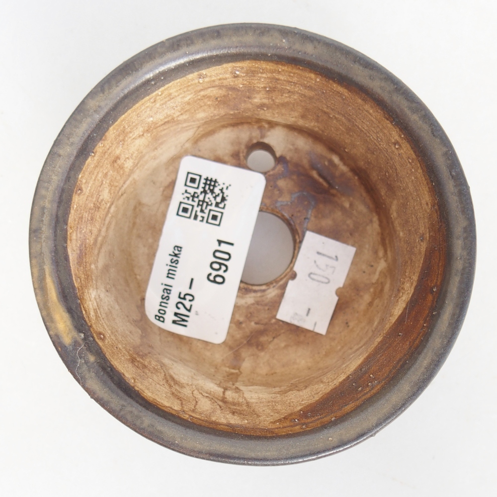 Ciotola per bonsai in ceramica 8 x 8 x 4,5 cm, marrone