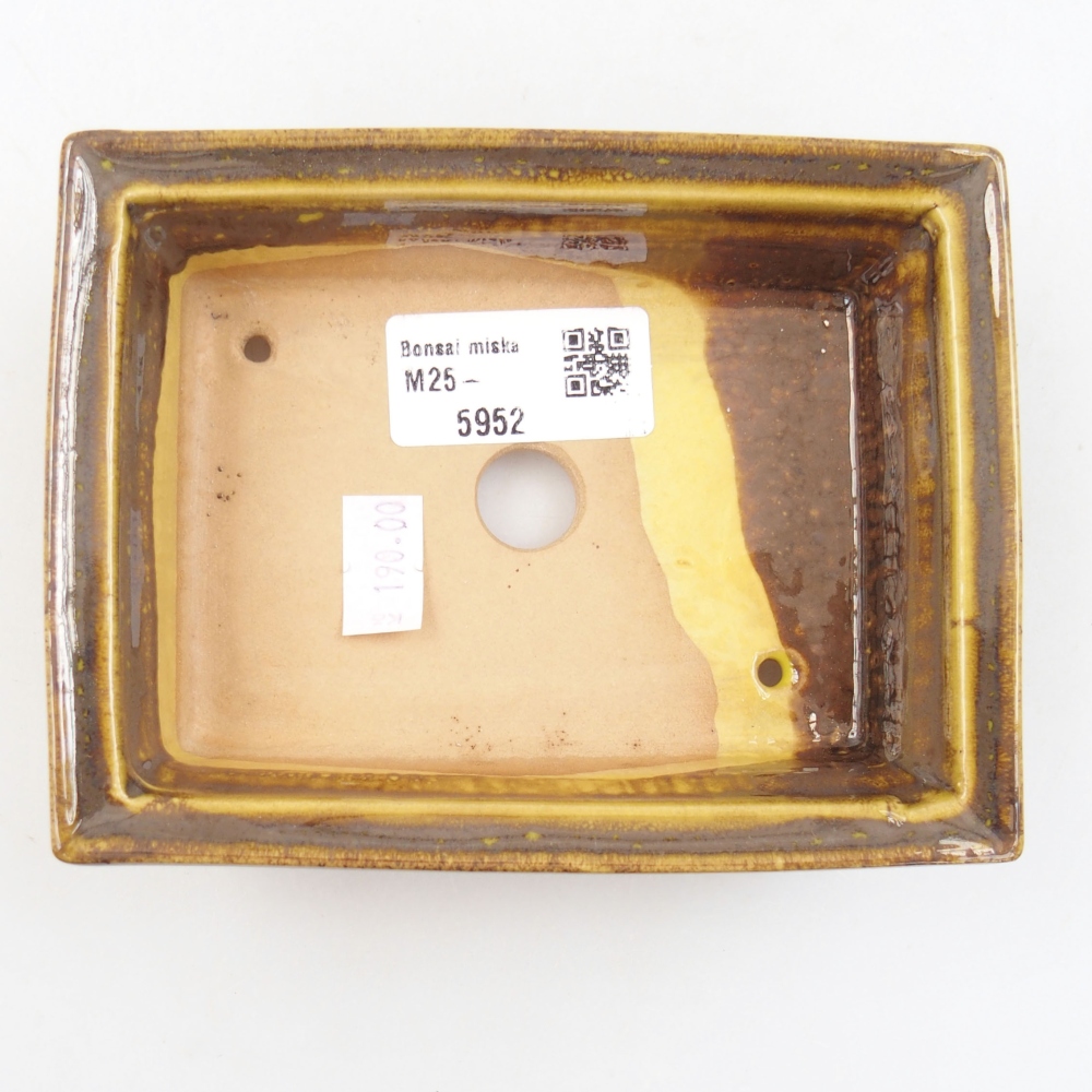 Ciotola bonsai in ceramica 22 x 17 x 5 cm, verde