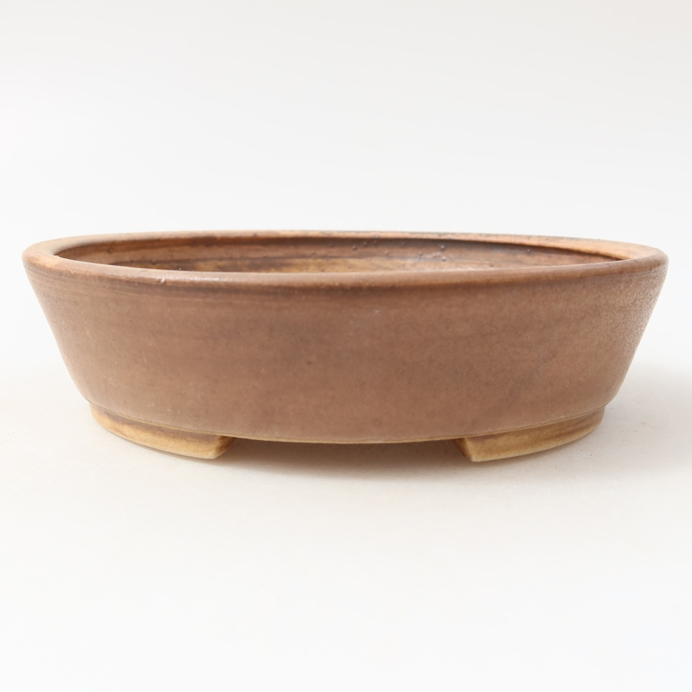 Ciotola bonsai in ceramica 15 x 14 x 4 cm, rosa