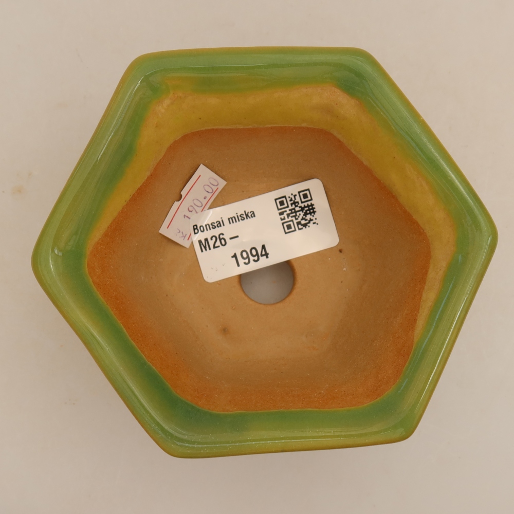 Vaso da bonsai in ceramica 10,5 x 9,5 x 5,5 cm, colore verde