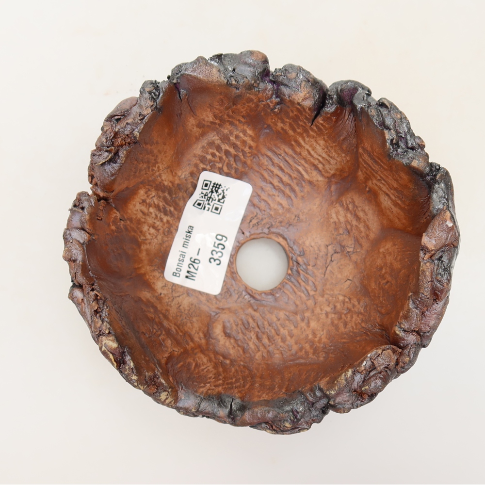 Guscio in ceramica 12 x 11 x 7 cm, colore marrone