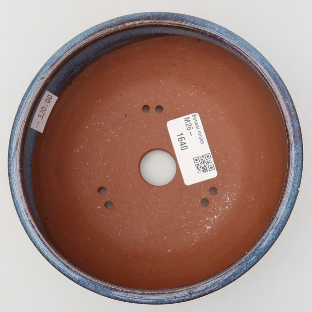 Ciotola per bonsai in ceramica 15 x 15 x 5,5 cm, colore blu