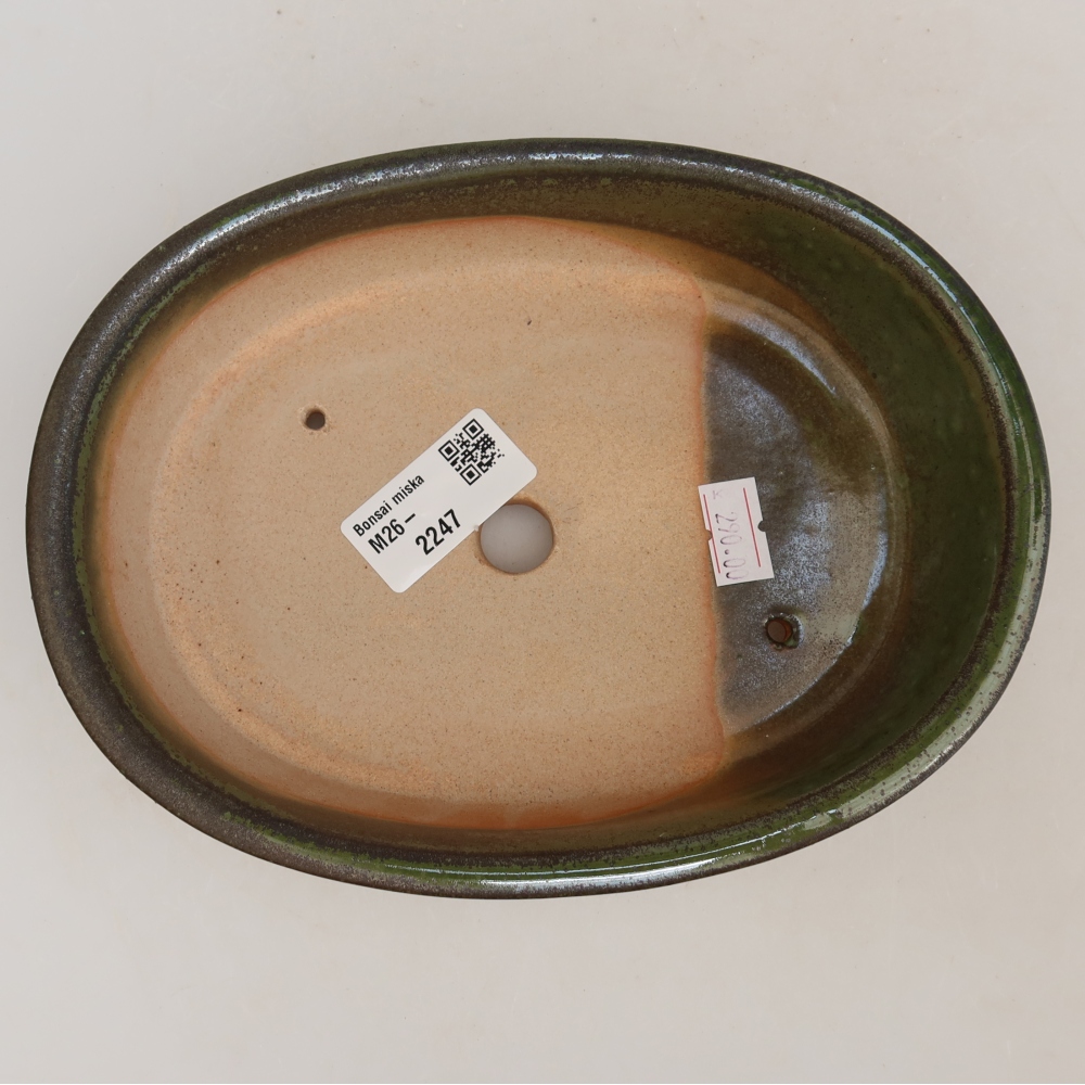 Vaso da bonsai in ceramica 19 x 14,5 x 5 cm, colore verde