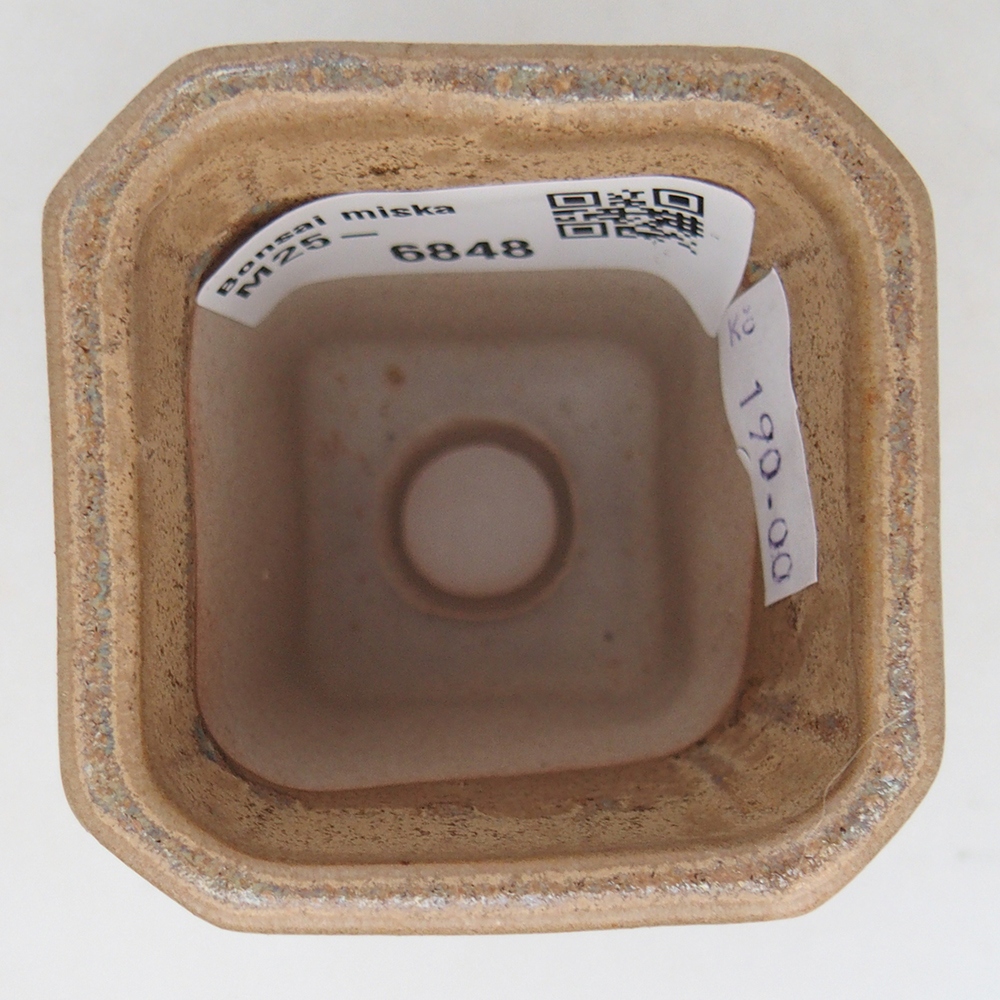 Ciotola per bonsai in ceramica 5,5 x 5,5 x 7 cm, colore beige