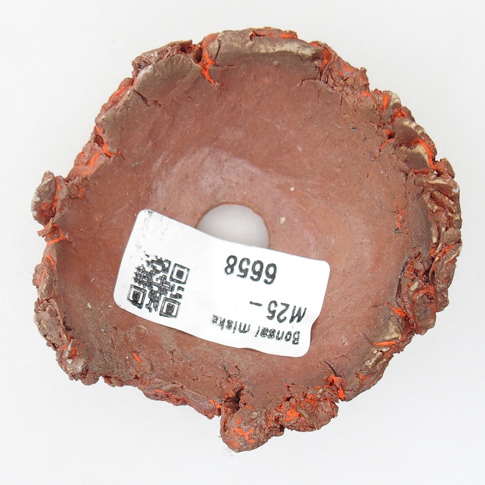 Conchiglia in ceramica 7 x 7 x 4 cm , colore arancione