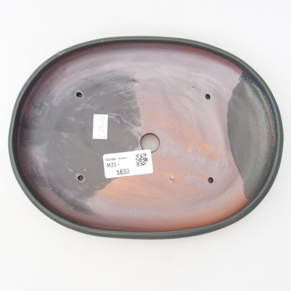Ciotola bonsai in ceramica 22 x 17 x 5 cm, verde