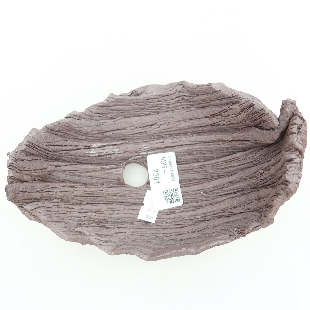 Guscio in ceramica  14,5 x 11 x 12 cm, colore marrone
