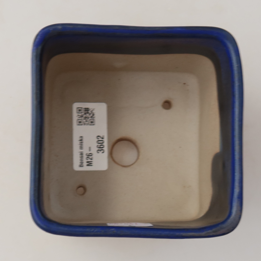 Ciotola per bonsai in ceramica 10 x 10 x 8 cm, colore blu