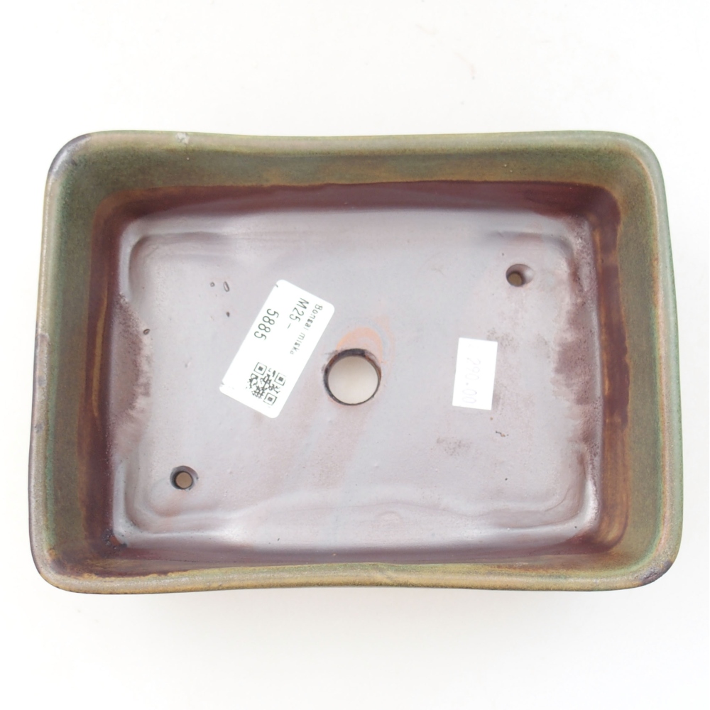 Ciotola bonsai in ceramica 22 x 17 x 5 cm, verde