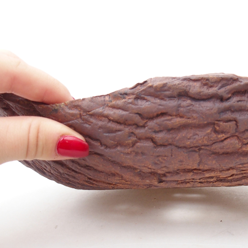 Conchiglia in ceramica 24 x 17 x 7 cm , colore marrone