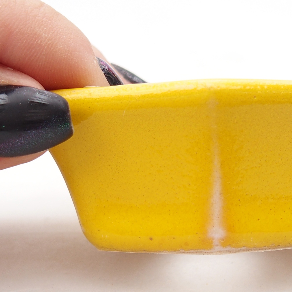 Mini bonsai 6 x 5,5 x 2,5 cm, giallo