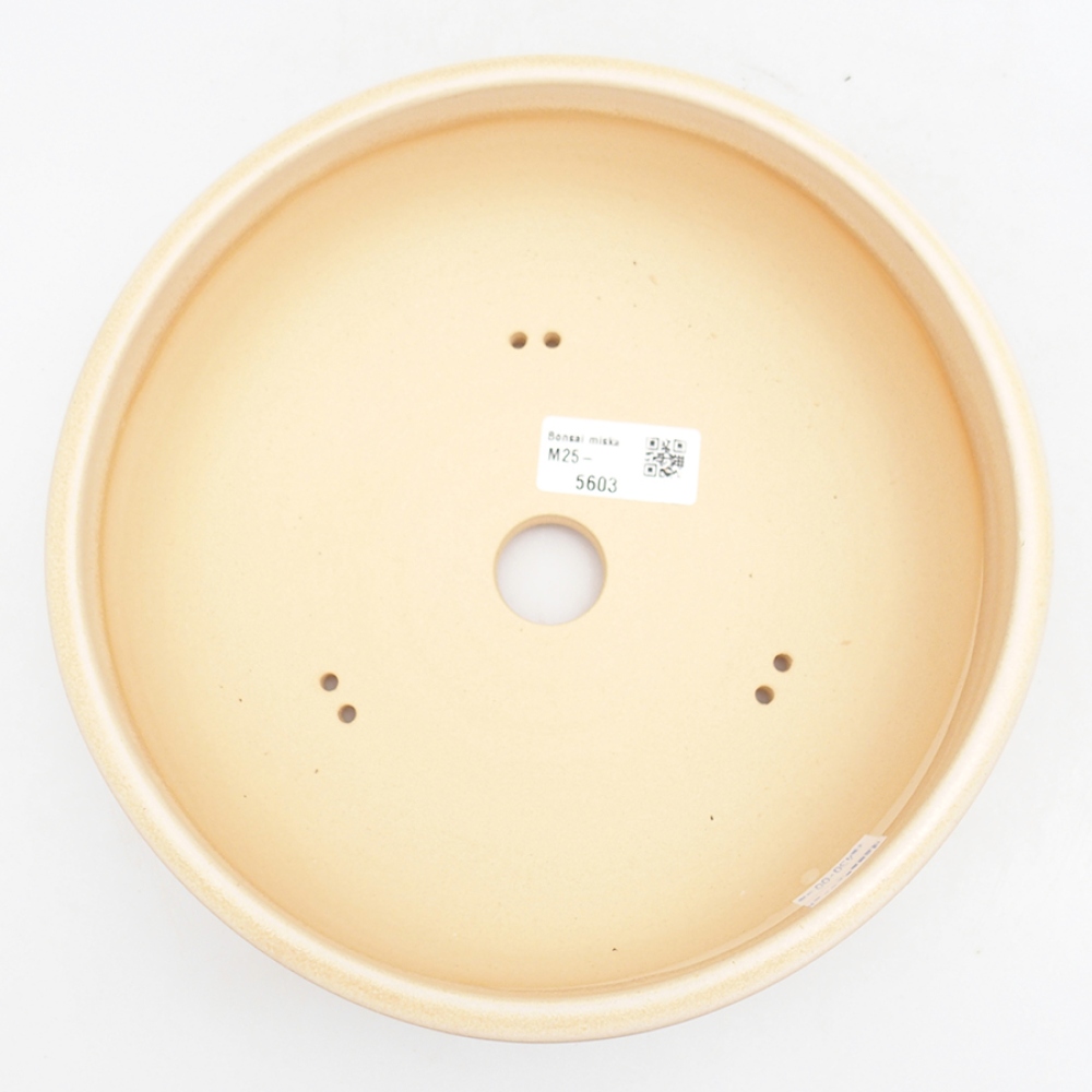 Ciotola per bonsai in ceramica 21,5 x 21,5 x 7 cm, colore beige