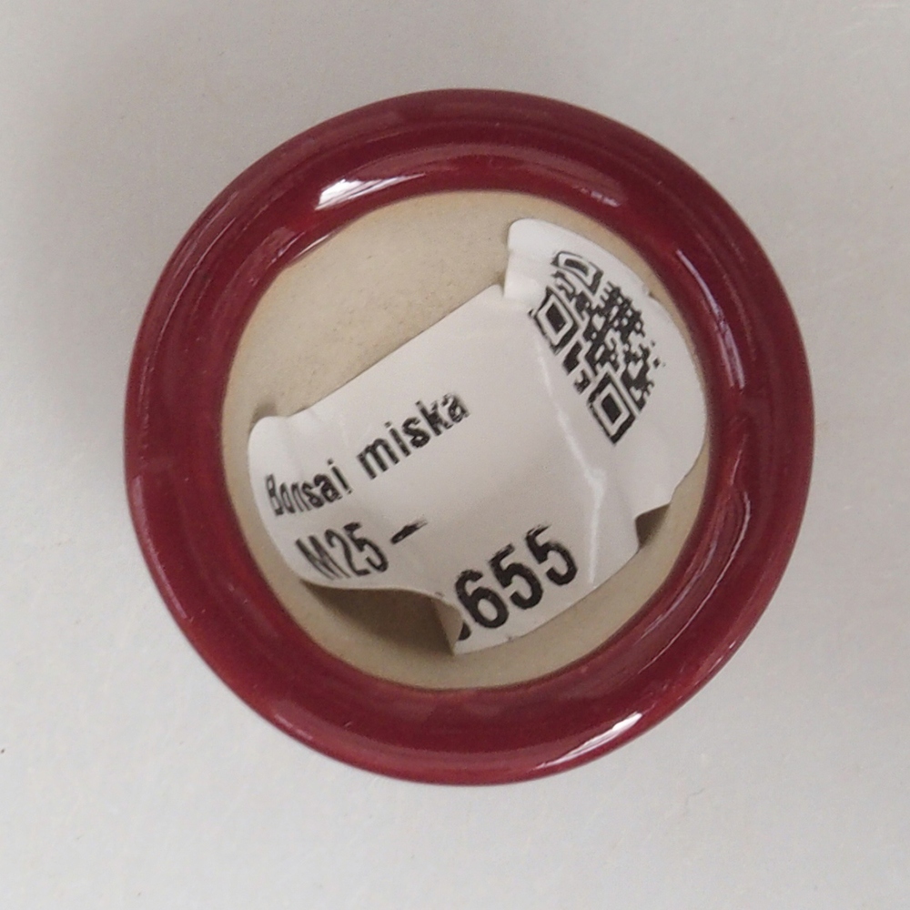 Ciotola per mini bonsai 3,5 x 3,5 x 2,5 cm, bordeaux