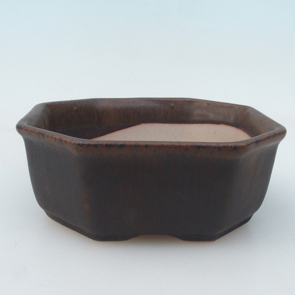 Ciotola per bonsai H13 - 12,5 x 12,5 x 4,5 cm - blu