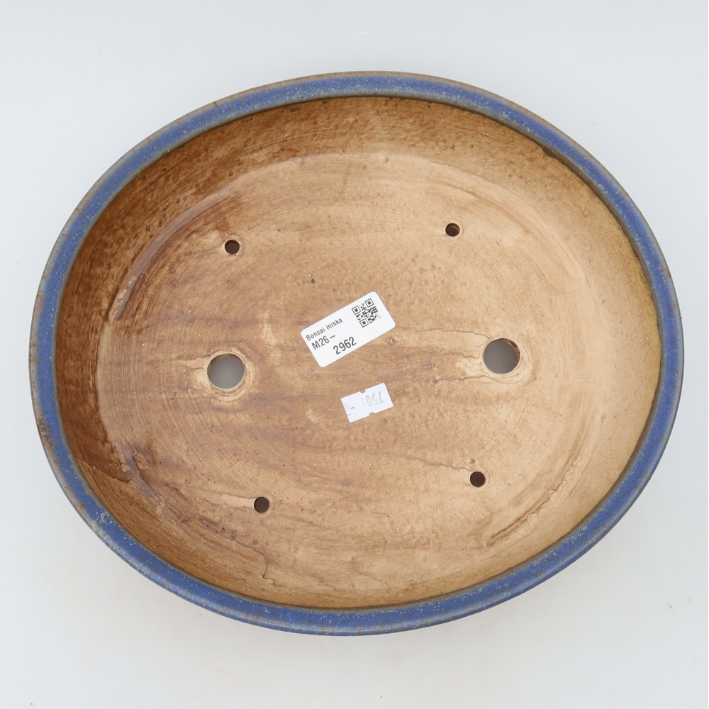 Vaso in ceramica per bonsai 27 x 24 x 5,5 cm, colore blu