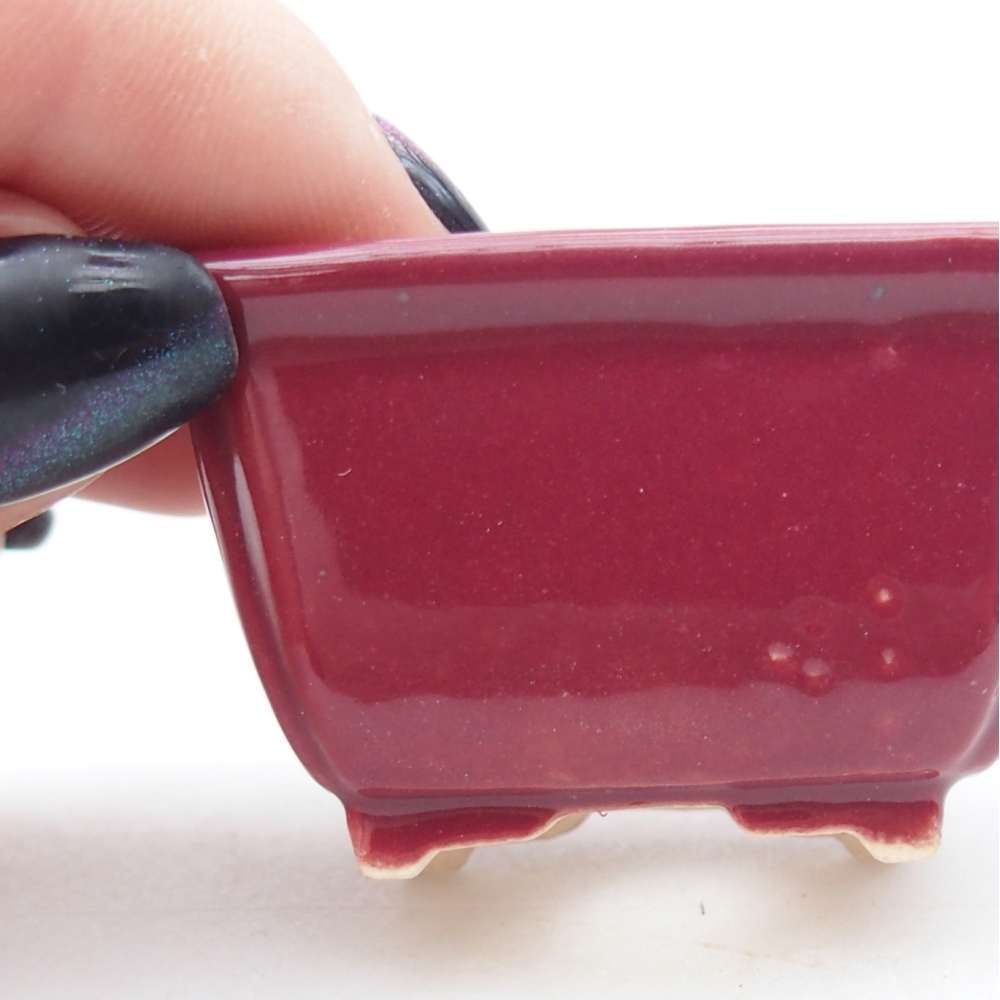 Ciotola per mini bonsai 4,5 x 3,5 x 2,5 cm, bordeaux