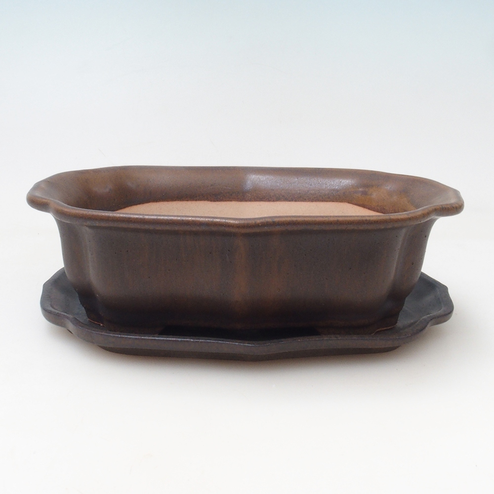Ciotola bonsai + piattino H51 - 18x14x5 cm - marrone