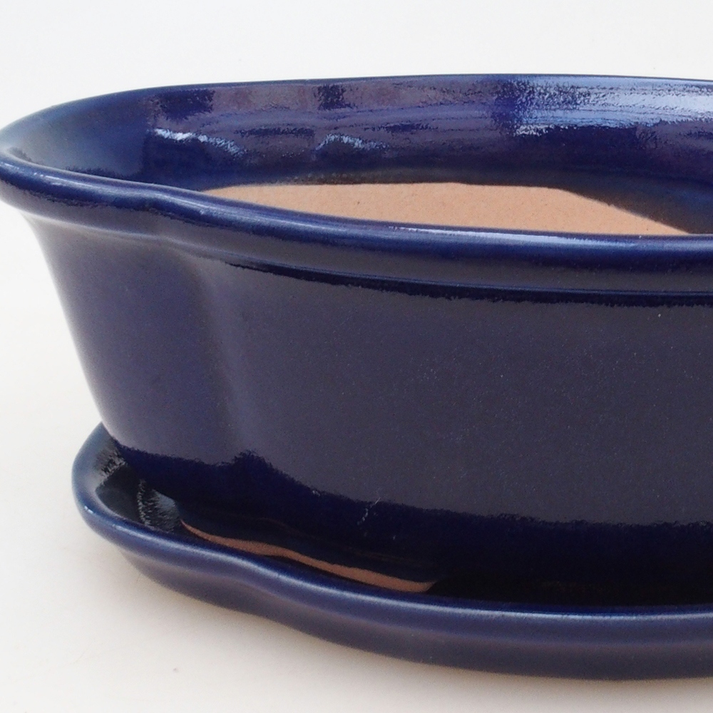 Ciotola bonsai + piattino H75 - blu