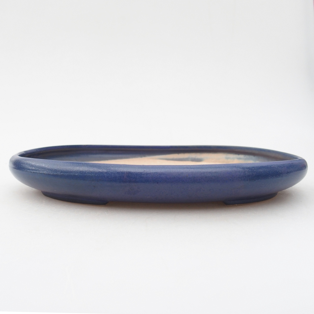 Ciotola bonsai in ceramica 22,5 x 16,5 x 3 cm, colore blu