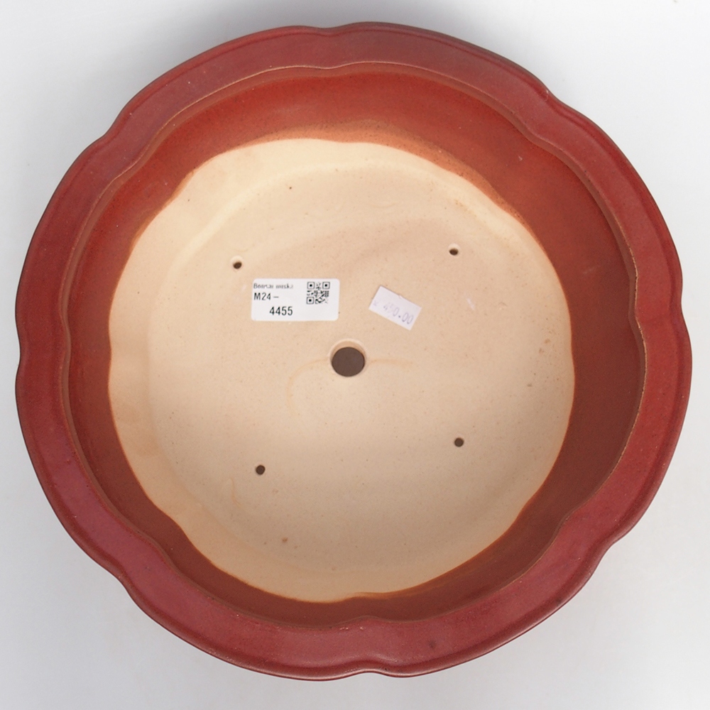 Ciotola bonsai in ceramica 26 x 26 x 8 cm, rosa