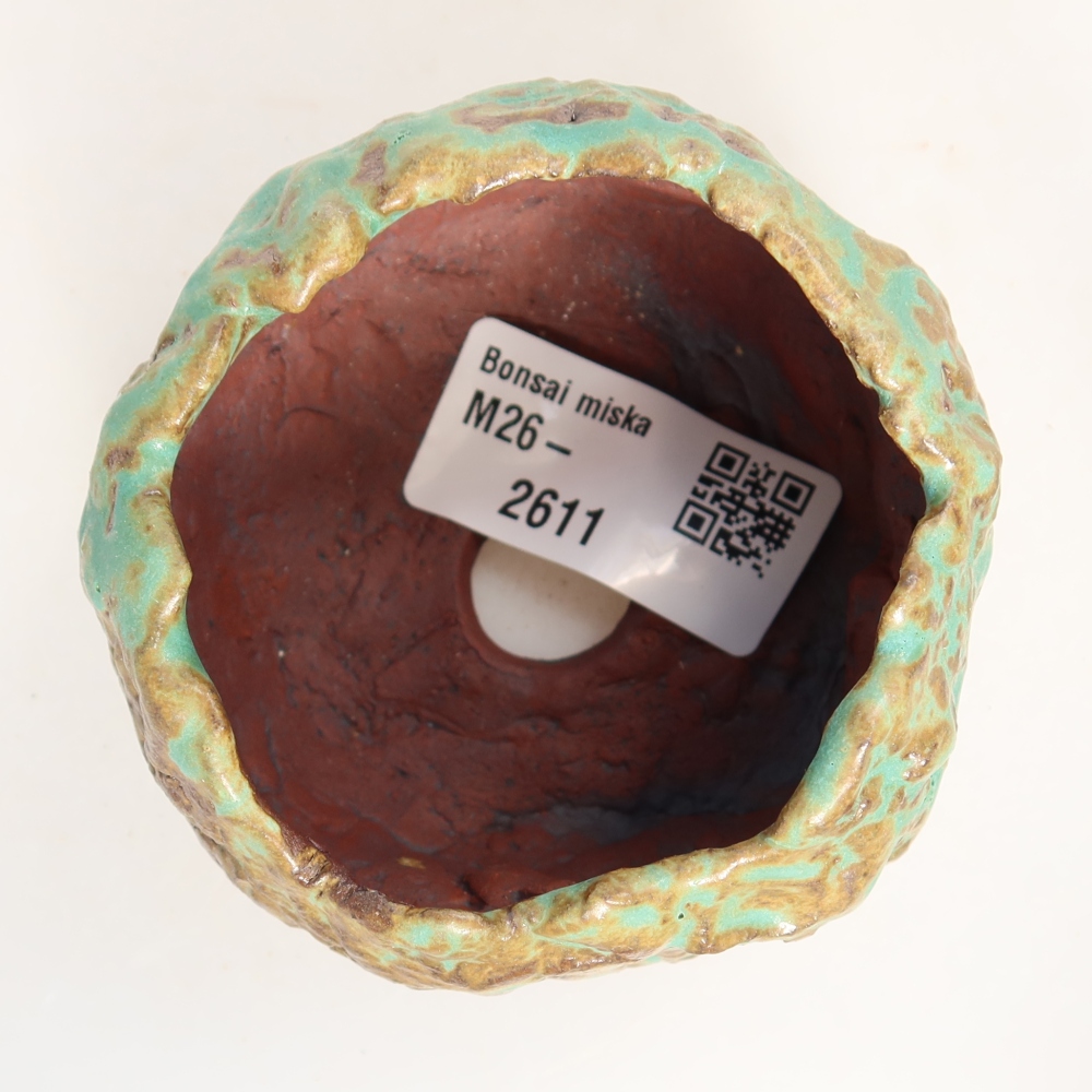 Conchiglia in ceramica 7 x 7 x 5,5 cm , colore verde