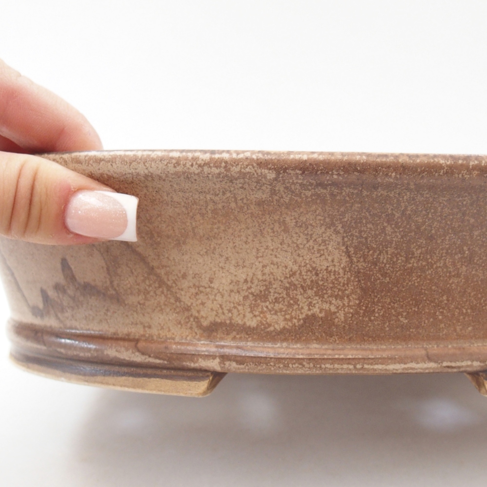 Ciotola per bonsai in ceramica 27 x 24 x 6 cm, colore beige