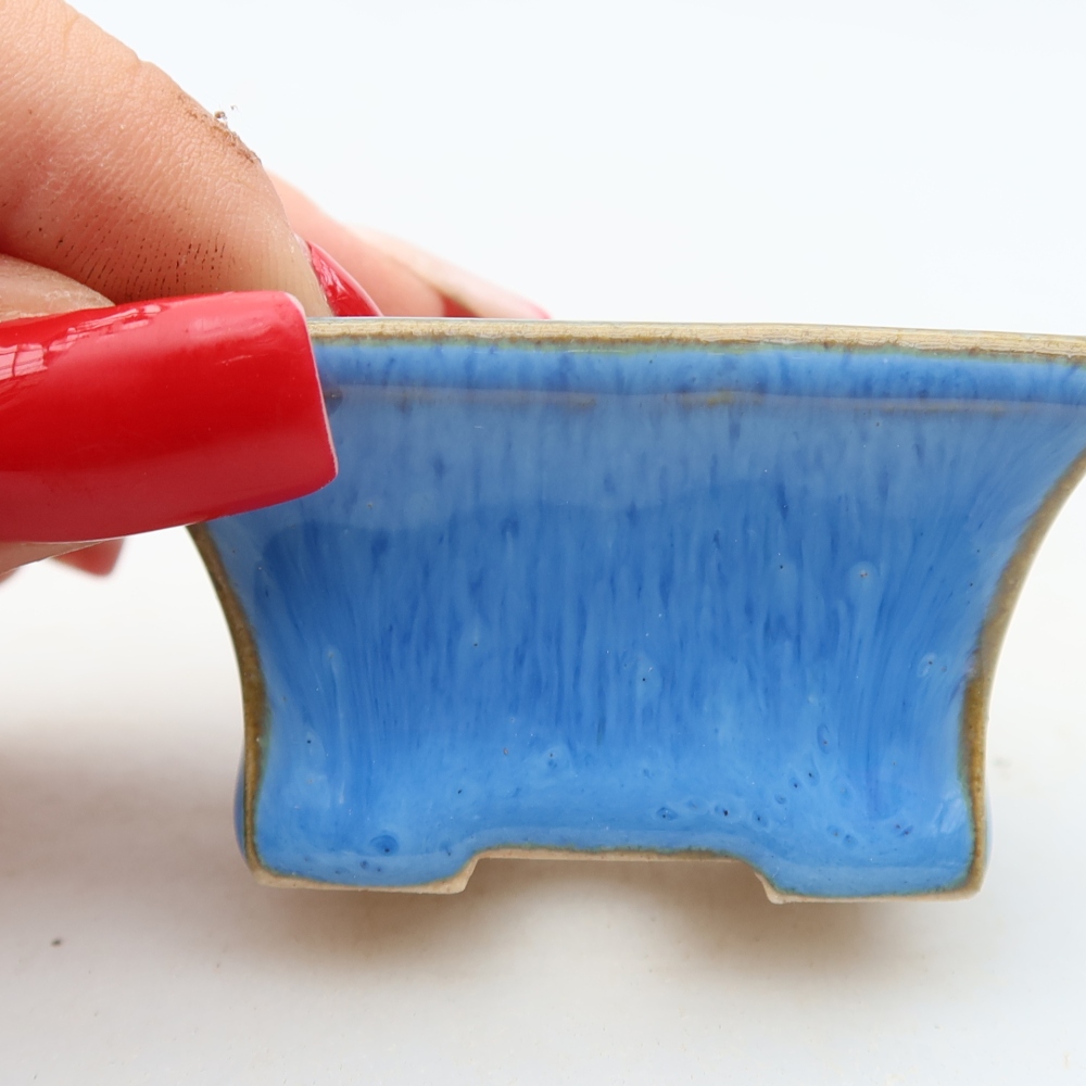 Vaso da bonsai in ceramica 5,5 x 3,5 x 3 cm, colore blu