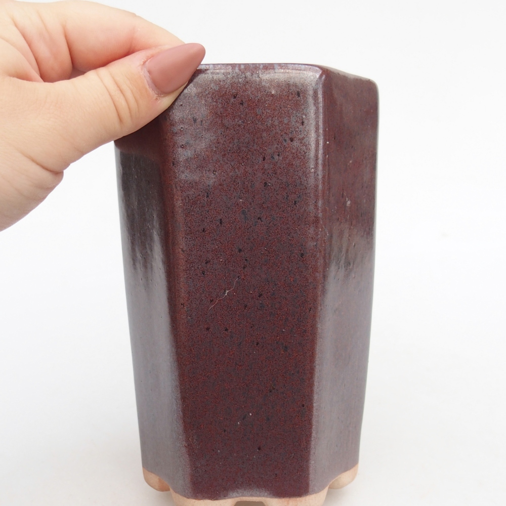 Ciotola bonsai in ceramica 10 x 8,5 x 14,5 cm, bordeaux