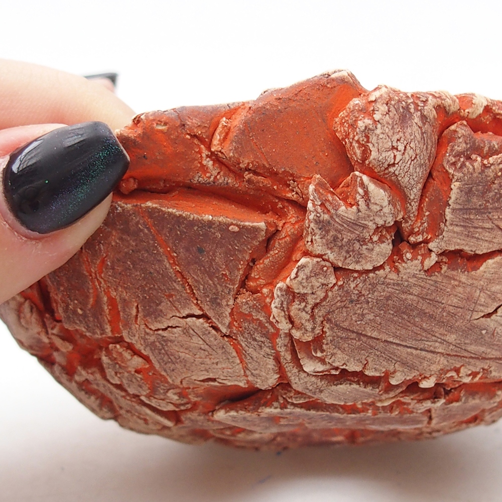 Conchiglia in ceramica 11 x 11 x 6 cm , colore arancione