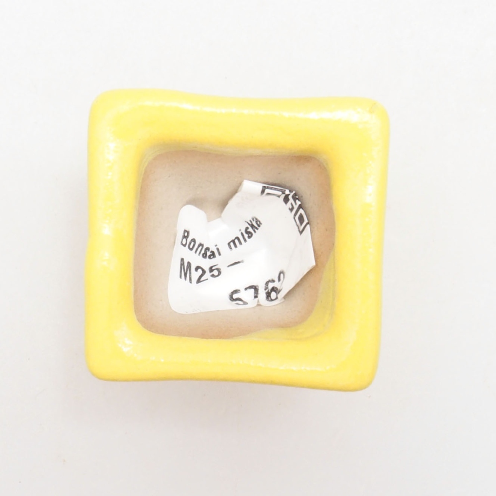 Ciotola per bonsai in ceramica 3,5 x 3,5 x 3 cm, giallo
