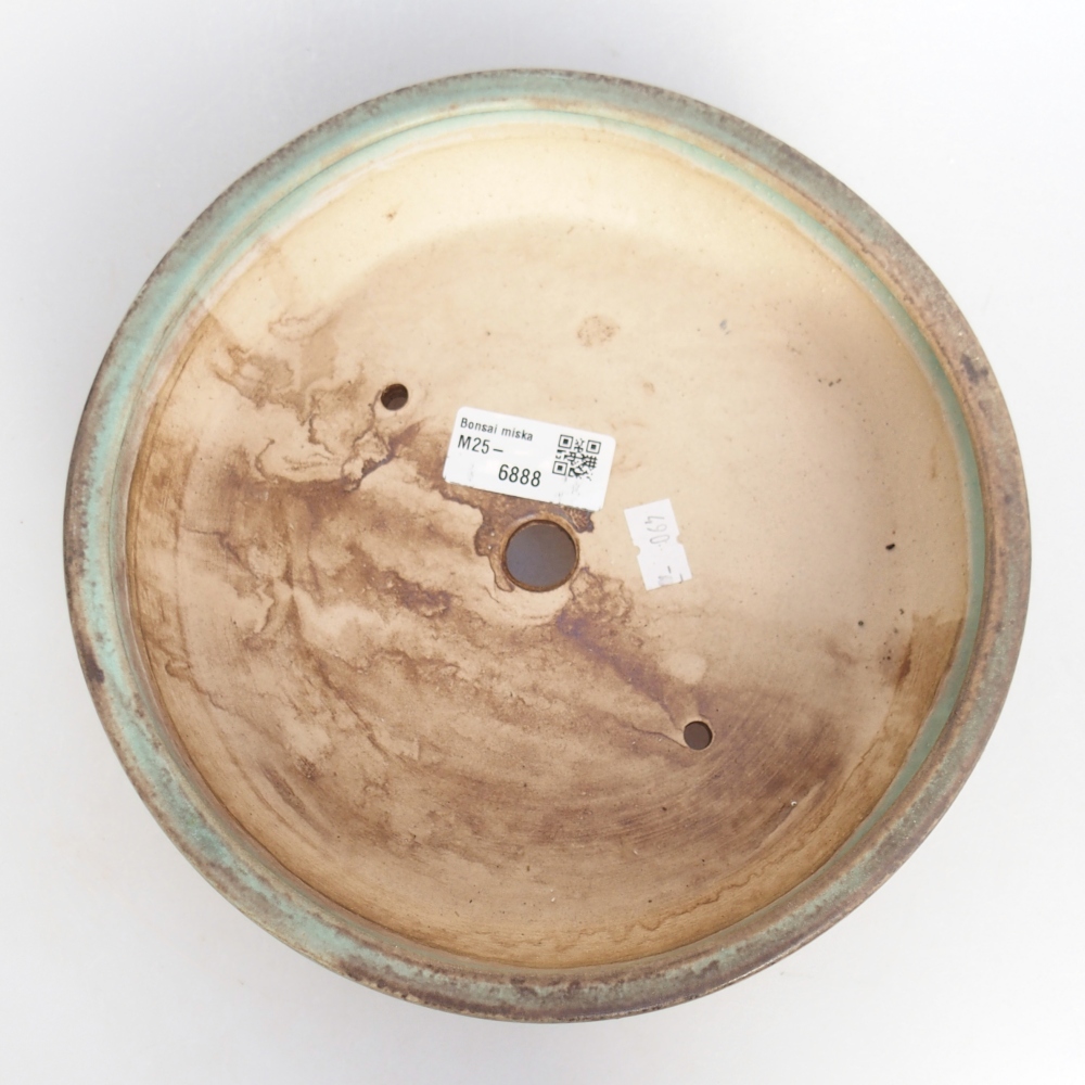 Ciotola bonsai in ceramica 21 x 21 x 6 cm, verde