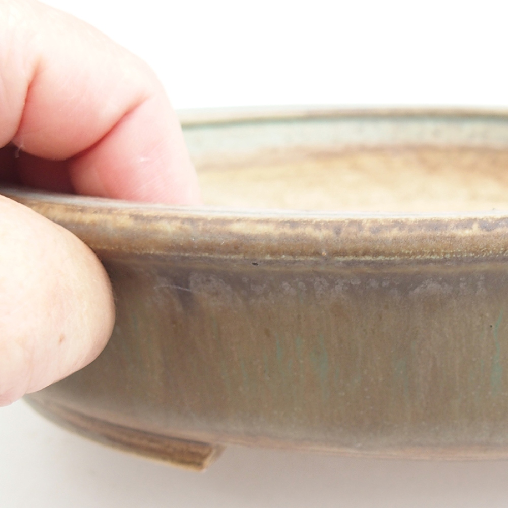 Ciotola bonsai in ceramica 23 x 19,5 x 4,5 cm, verde