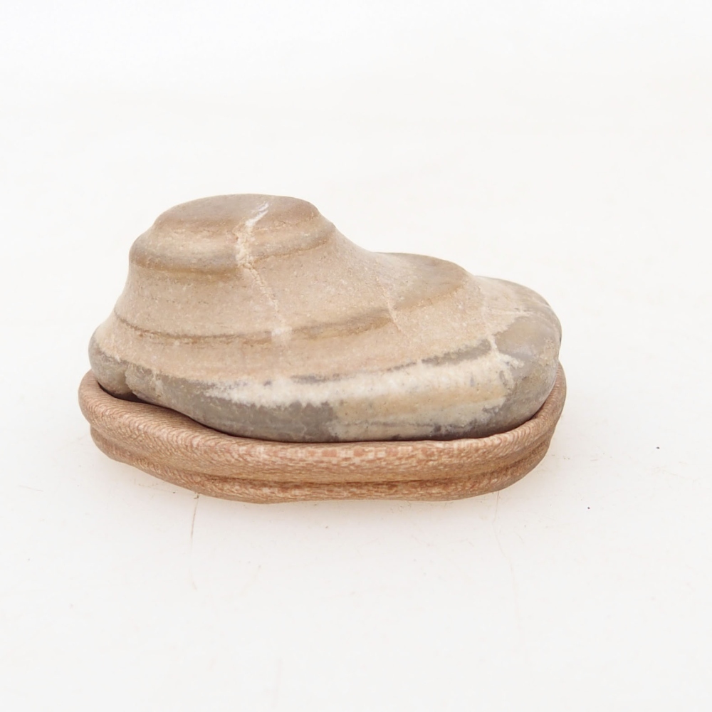 Suiseki - Pietra con DAI (base in legno)