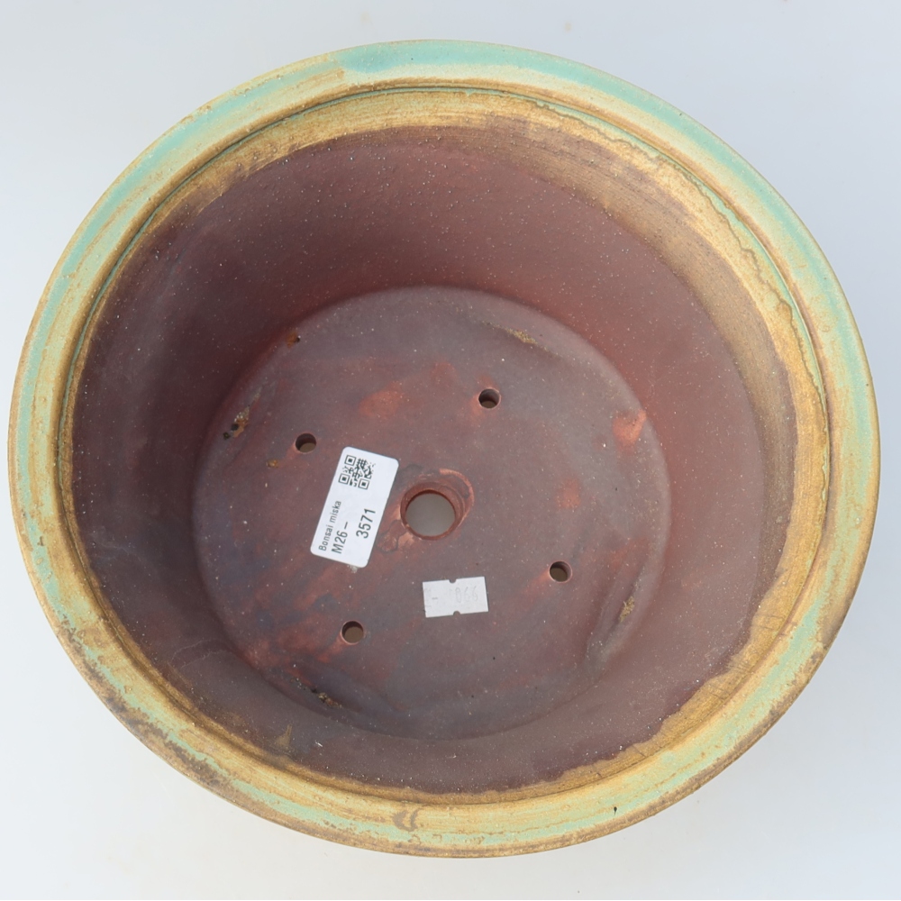 Vaso da bonsai in ceramica 24,5 x 24,5 x 11,5 cm, colore verde