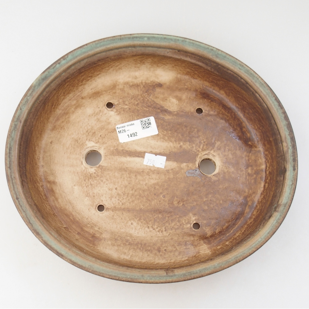 Ciotola per bonsai in ceramica 26,5 x 23,5 x 5,5 cm, verde