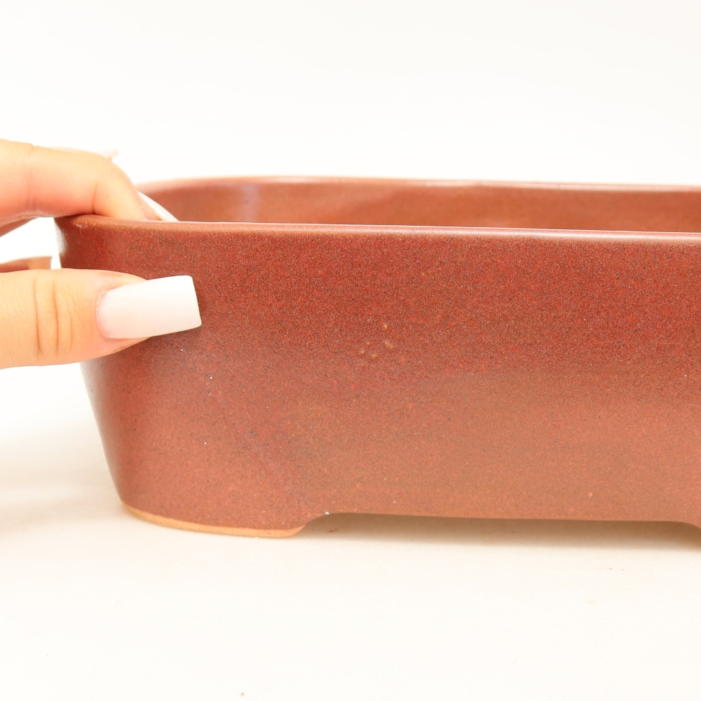 Vaso da bonsai in ceramica 23 x 17,5 x 7,5 cm, colore bordeaux
