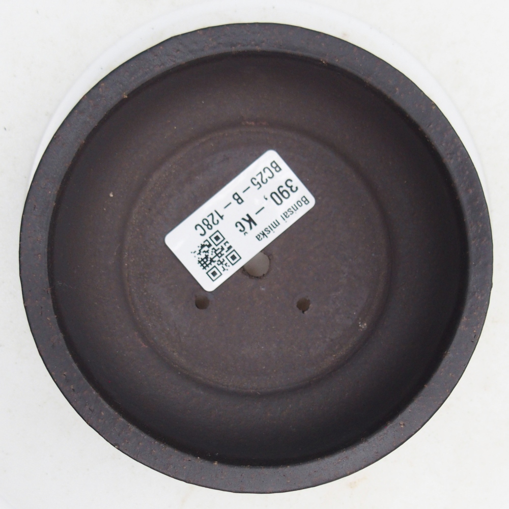 Ciotola bonsai in ceramica 11,5 x 11,5 x 4,5 cm, nero