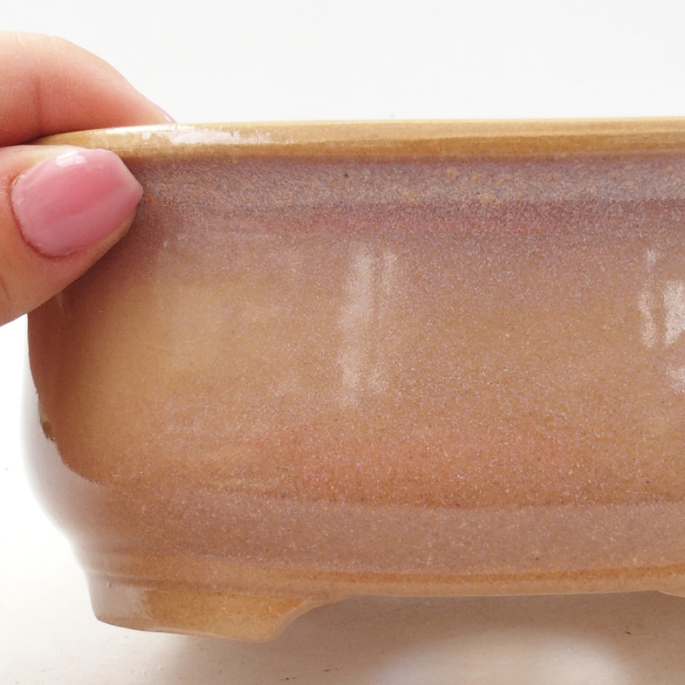 Ciotola per bonsai in ceramica 15,5 x 12 x 5,5 cm, colore beige