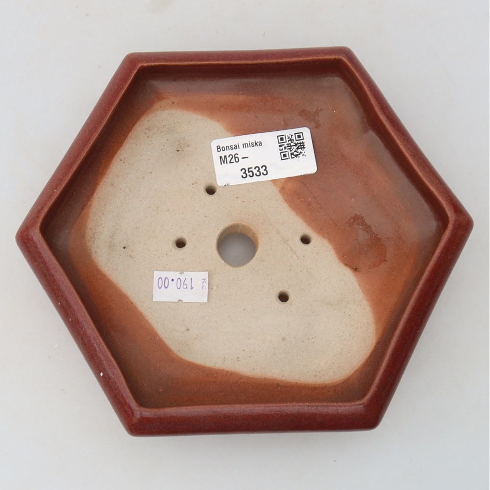 Vaso da bonsai in ceramica 17 x 15 x 4 cm, colore bordeaux