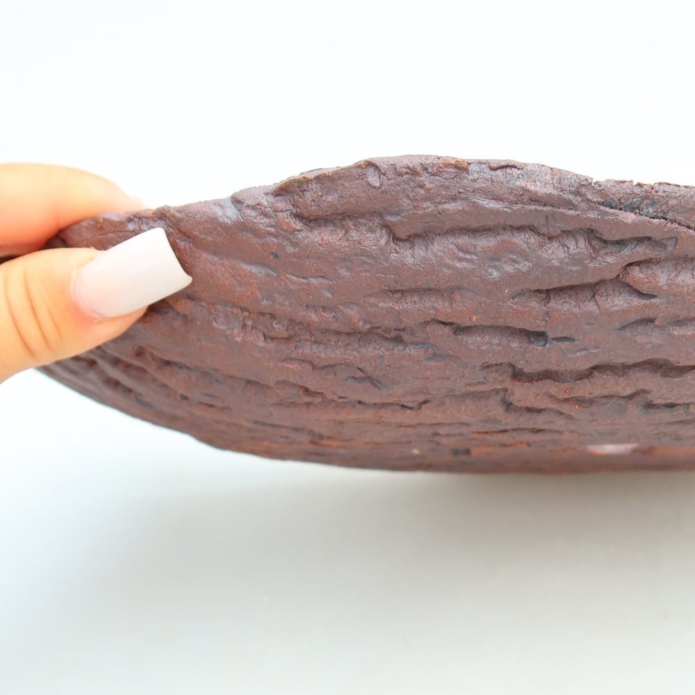 Conchiglia in ceramica  30 x 19,5 x 7 cm, colore marrone