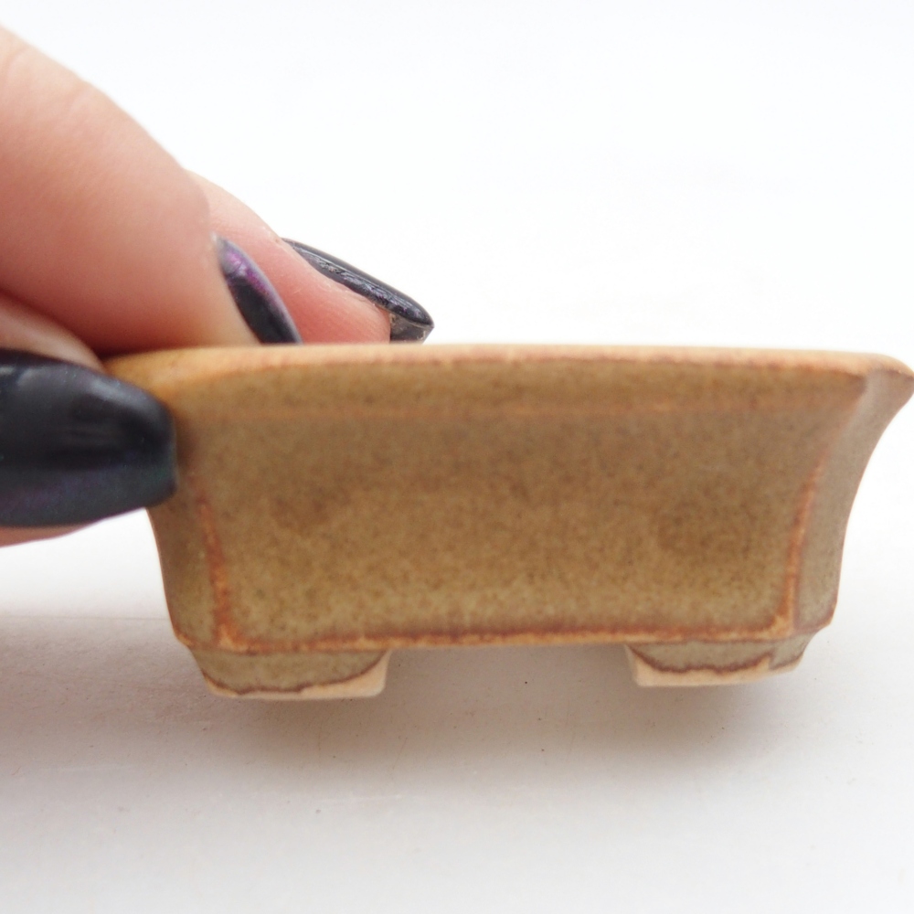 Ciotola per mini bonsai 5,5 x 4,5 x 2 cm, marrone