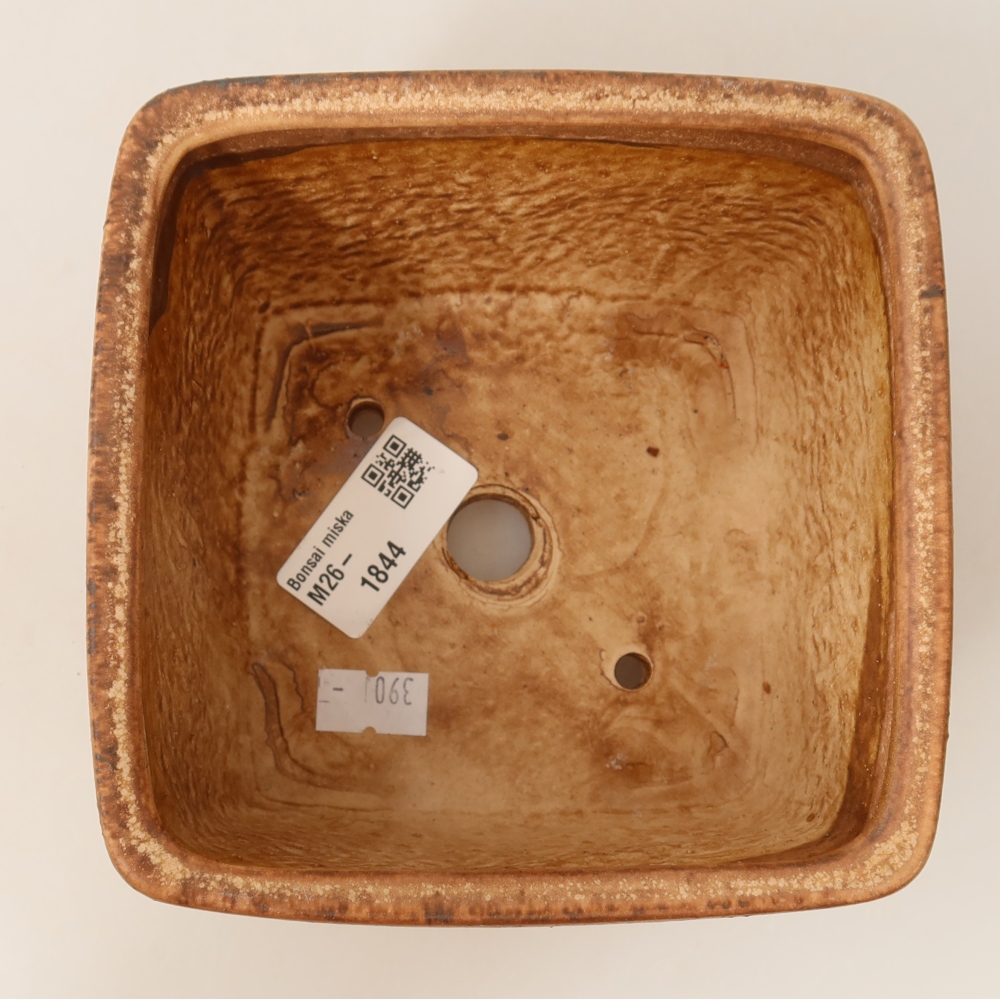 Ciotola bonsai in ceramica 13 x 13 x 8 cm, rosa
